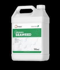 Seaweed Extract 400g/L Total Nitrogen ≥1% for Environmentally-Friendly Agriculture
